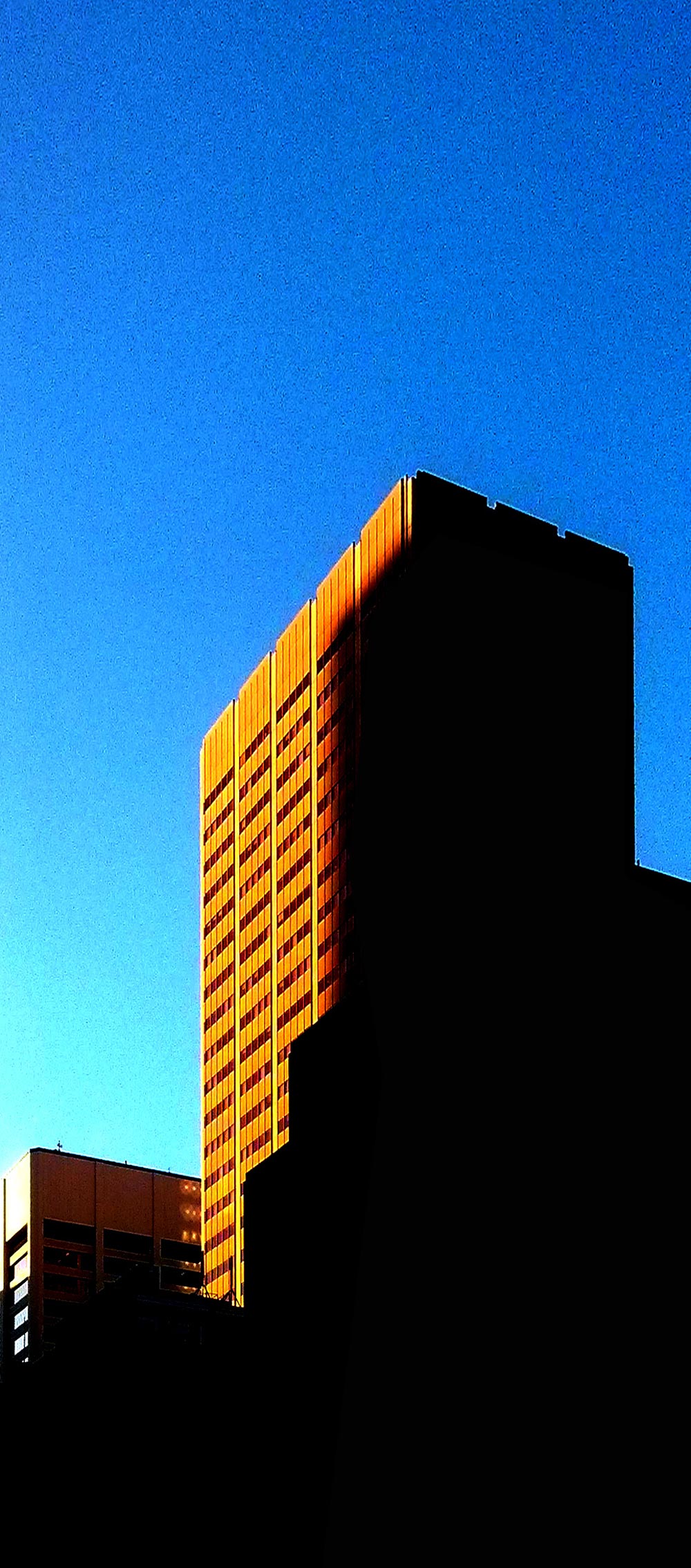 wordpress_img_20151022_175405-copie